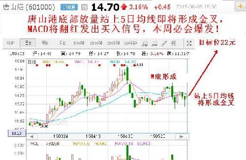 唐山港股票最新消息全面解读