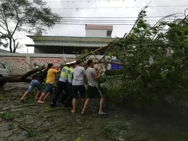 台风天鸽最新登陆消息，影响与应对策略