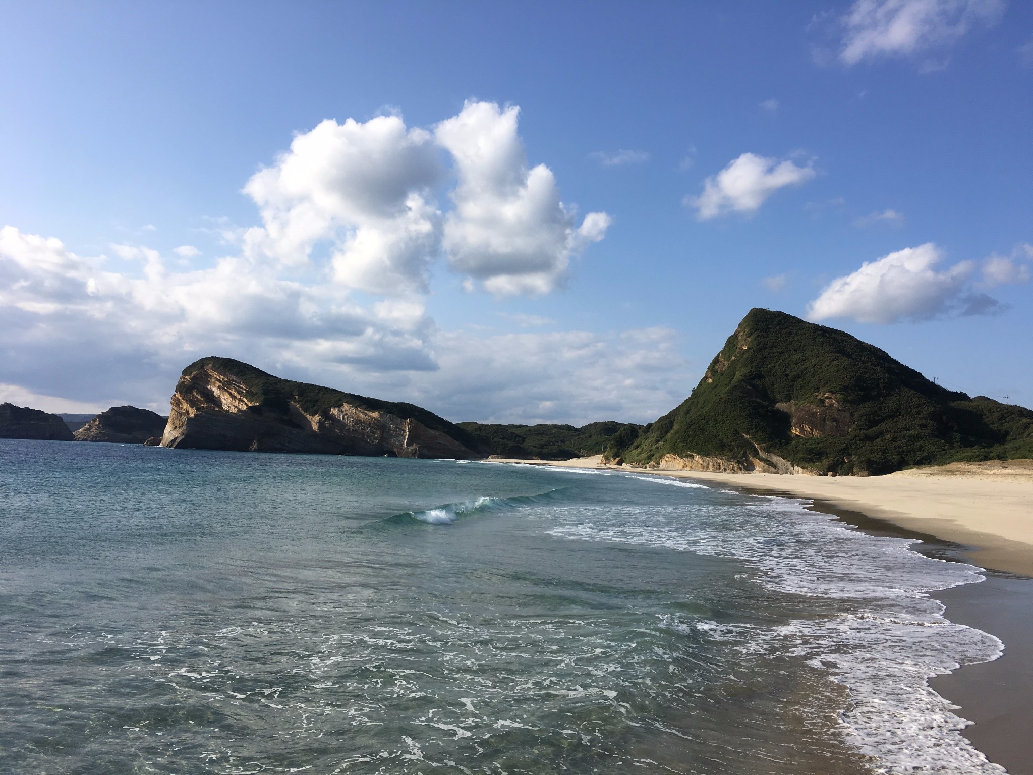 种子岛，未来农业的新希望之光